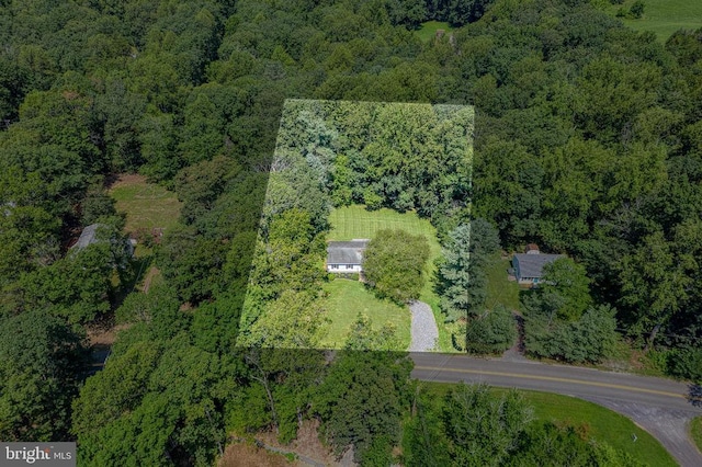 13192 Scotts Mill Rd, Culpeper, VA 22701 - photo 50