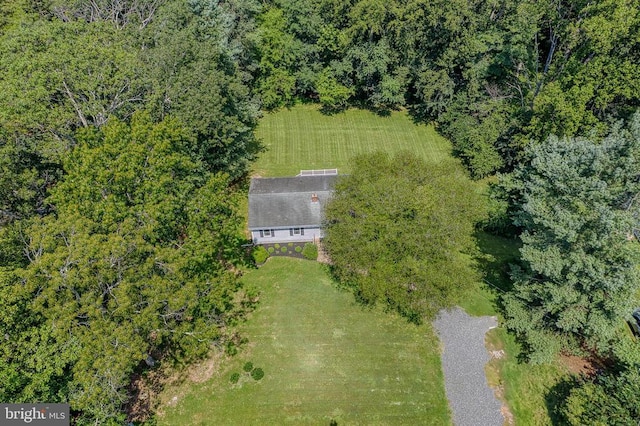 13192 Scotts Mill Rd, Culpeper, VA 22701 - photo 54