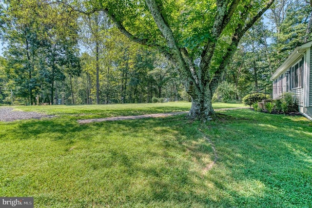 13192 Scotts Mill Rd, Culpeper, VA 22701 - photo 29