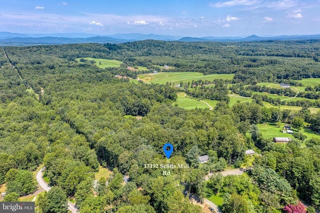 13192 Scotts Mill Rd, Culpeper, VA 22701 - photo 46