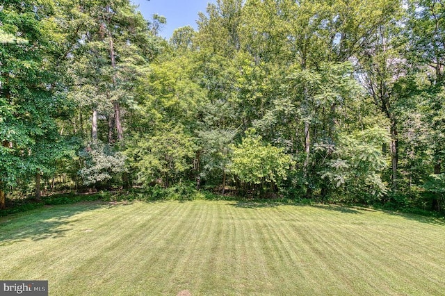13192 Scotts Mill Rd, Culpeper, VA 22701 - photo 38