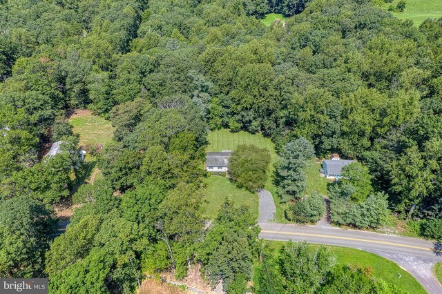13192 Scotts Mill Rd, Culpeper, VA 22701 - photo 51