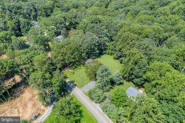 13192 Scotts Mill Rd, Culpeper, VA 22701 - photo 52