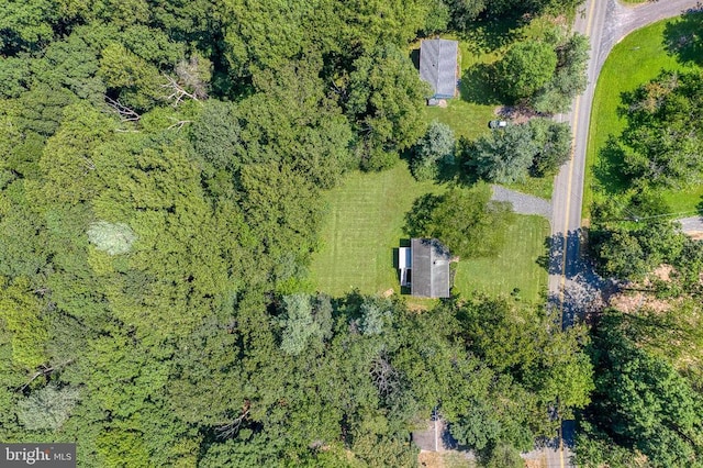 13192 Scotts Mill Rd, Culpeper, VA 22701 - photo 45