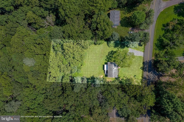 13192 Scotts Mill Rd, Culpeper, VA 22701 - photo 44