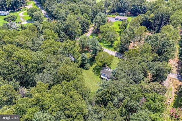 13192 Scotts Mill Rd, Culpeper, VA 22701 - photo 53