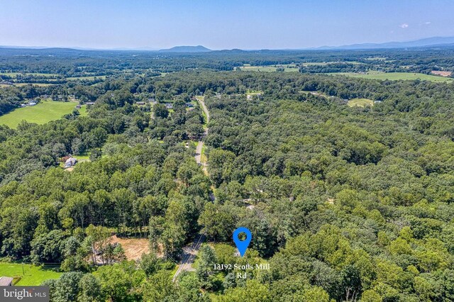 13192 Scotts Mill Rd, Culpeper, VA 22701 - photo 48