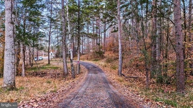 view of dirt / gravel road with a forest view