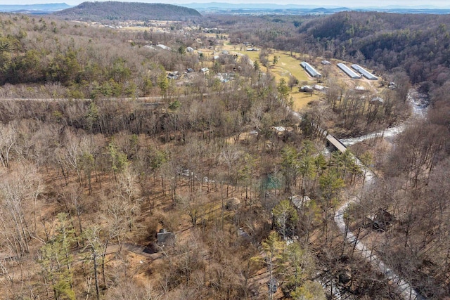431 Lower Rawley Ln, Hinton, VA 22831 - bird's eye view featuring a mountain view and a forest view