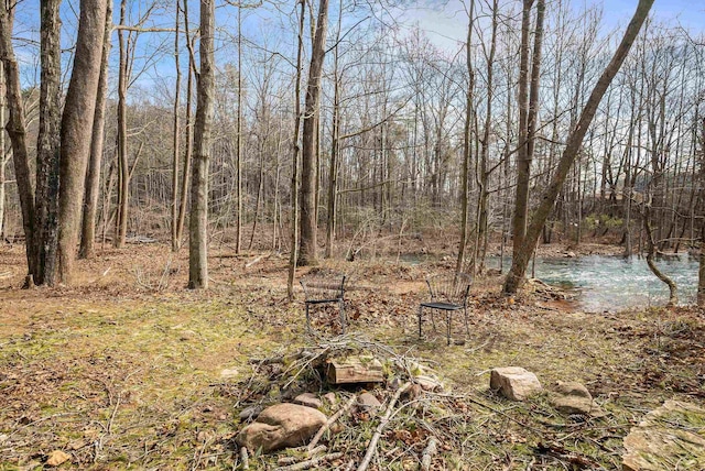 431 Lower Rawley Ln, Hinton, VA 22831 - view of nature