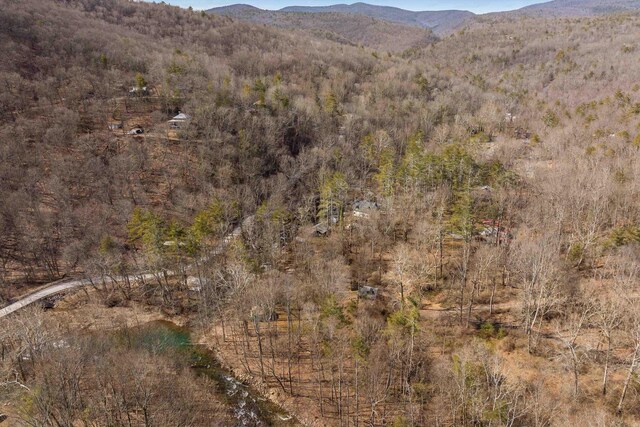 431 Lower Rawley Ln, Hinton, VA 22831 - view of mountain feature