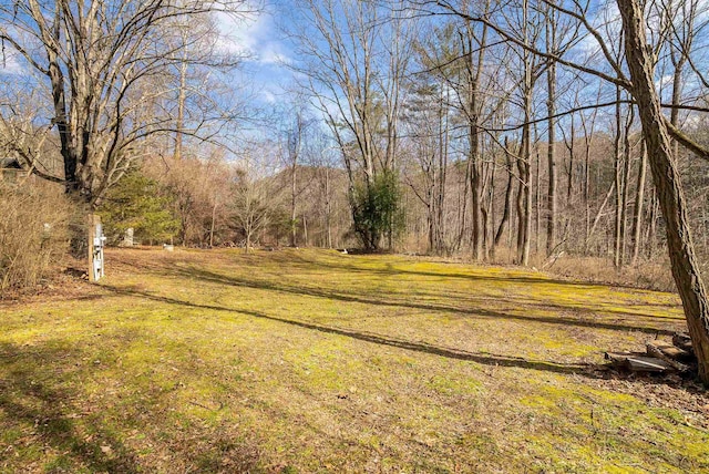 431 Lower Rawley Ln, Hinton, VA 22831 - view of yard with a forest view