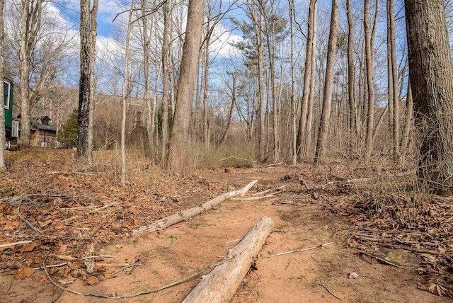 431 Lower Rawley Ln, Hinton, VA 22831 - exterior space