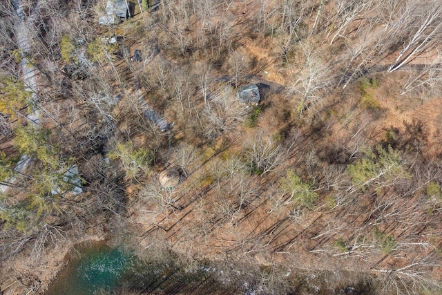 431 Lower Rawley Ln, Hinton, VA 22831 - bird's eye view