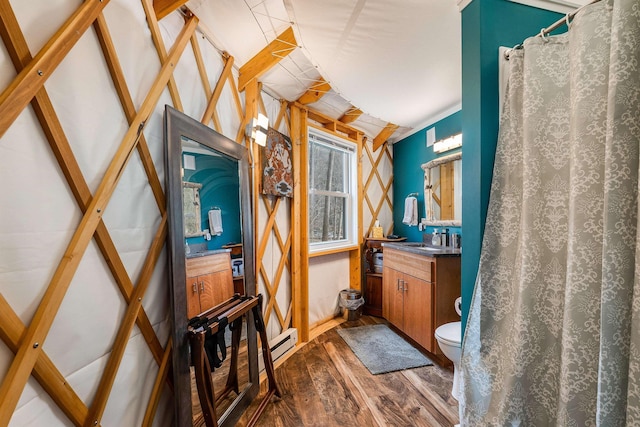 431 Lower Rawley Ln, Hinton, VA 22831 - full bathroom featuring baseboard heating, toilet, wood finished floors, and vanity