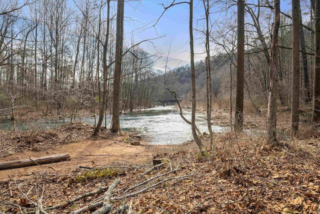 431 Lower Rawley Ln, Hinton, VA 22831 - property view of water