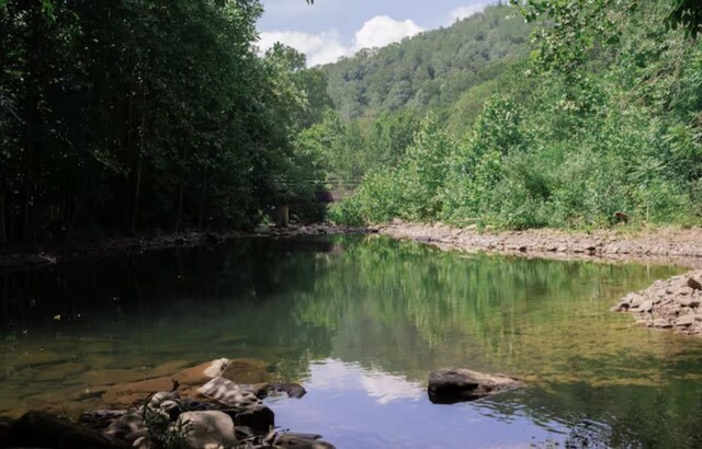 431 Lower Rawley Ln, Hinton, VA 22831 - water view with a view of trees