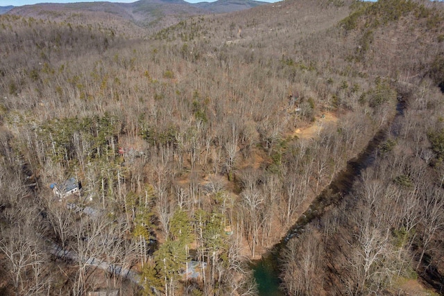 431 Lower Rawley Ln, Hinton, VA 22831 - exterior space with a view of trees and a mountain view