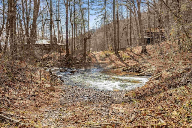 431 Lower Rawley Ln, Hinton, VA 22831 - exterior space