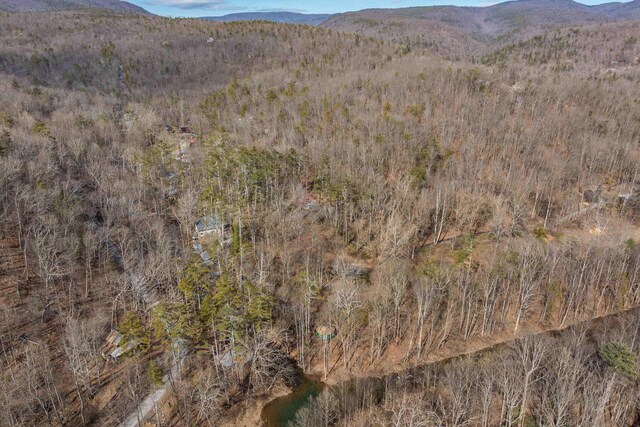 431 Lower Rawley Ln, Hinton, VA 22831 - mountain view