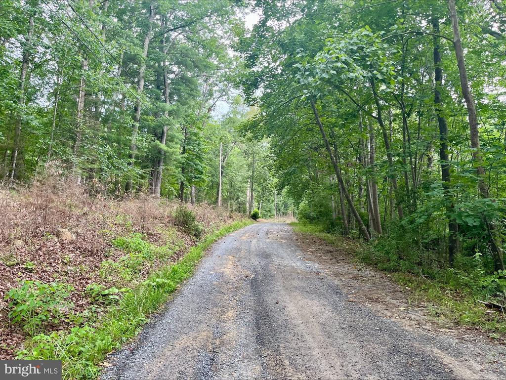 Oak Ln, Luray, VA 22835 - photo 2