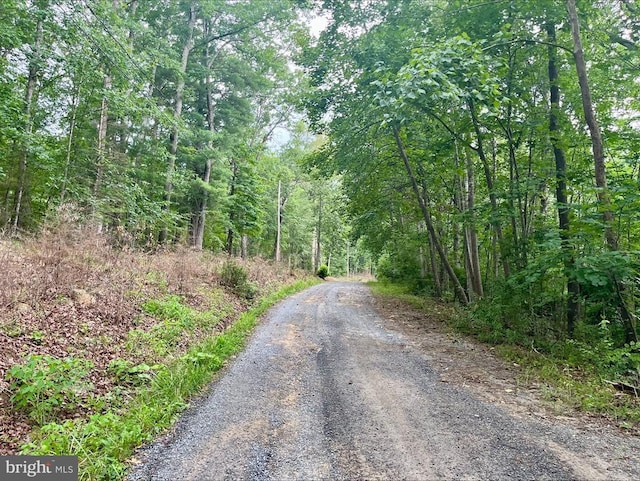 Oak Ln, Luray, VA 22835 - photo 2