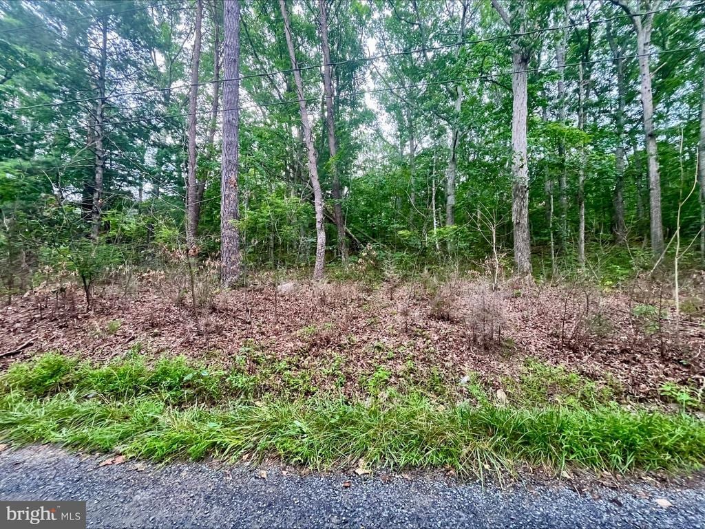Oak Ln, Luray, VA 22835 - photo 1