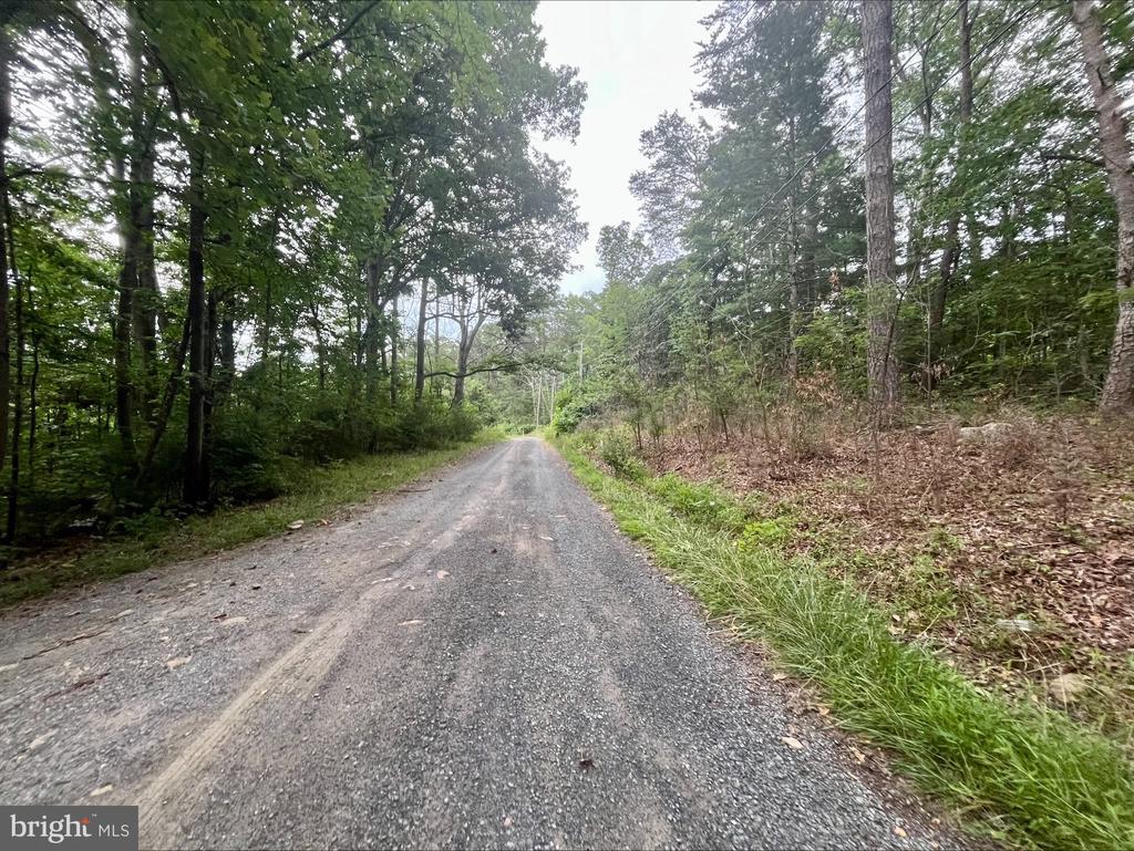 Oak Ln, Luray, VA 22835 - photo 4