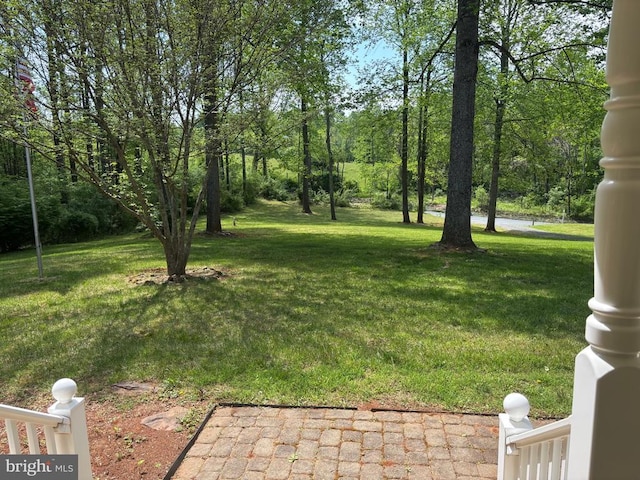 7857 Hazeland Ln, Boston, VA 22713 - photo 26