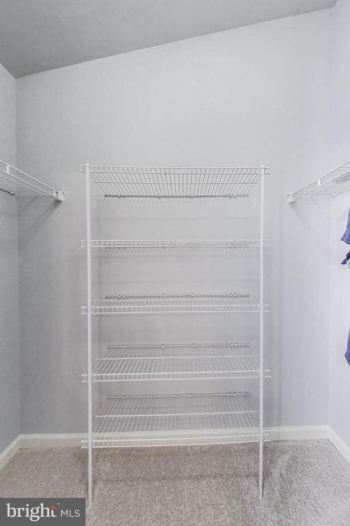 11222 Gander Ct, Fredericksburg, VA 22407 - walk in closet with carpet flooring