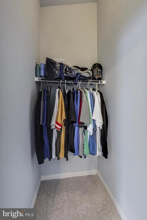 11222 Gander Ct, Fredericksburg, VA 22407 - walk in closet with carpet floors
