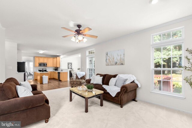 10911 Jarvis Ct, Fredericksburg, VA 22407 - living area featuring plenty of natural light, crown molding, and ceiling fan