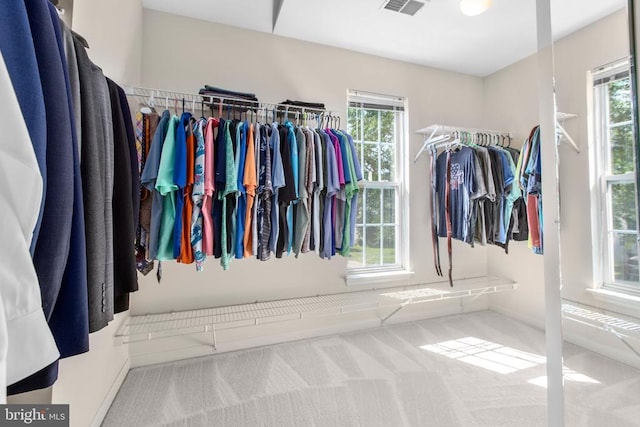 10911 Jarvis Ct, Fredericksburg, VA 22407 - walk in closet featuring carpet floors