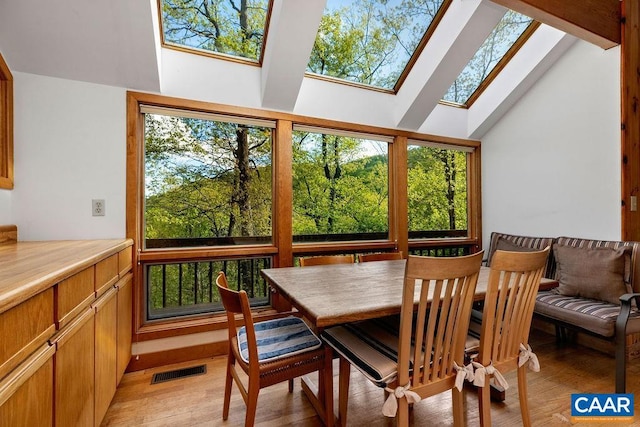 sunroom with plenty of natural light, a skylight, and vaulted ceiling