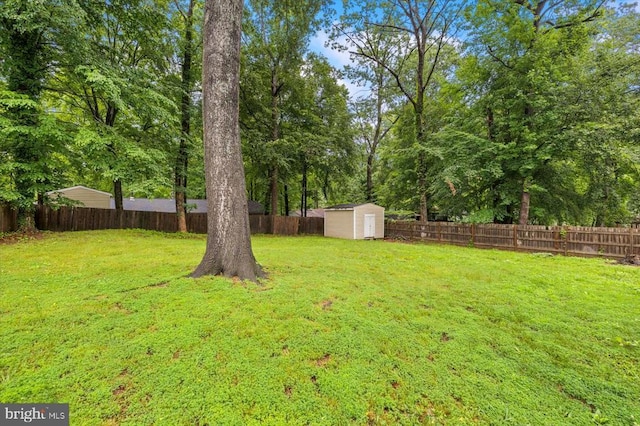 6908 Wild Turkey Dr, Spotsylvania, VA 22553 - fenced backyard featuring a storage unit