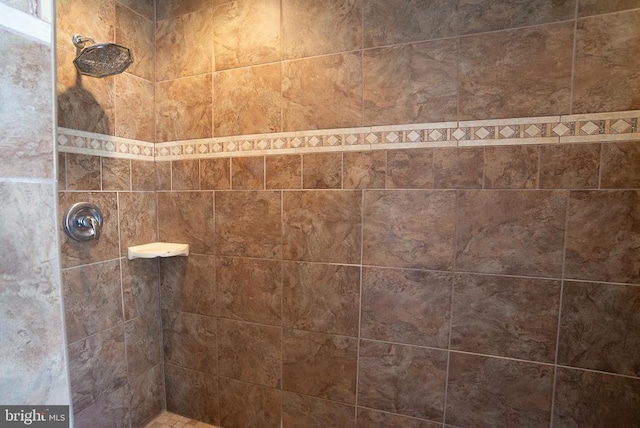 bathroom view of a tile shower