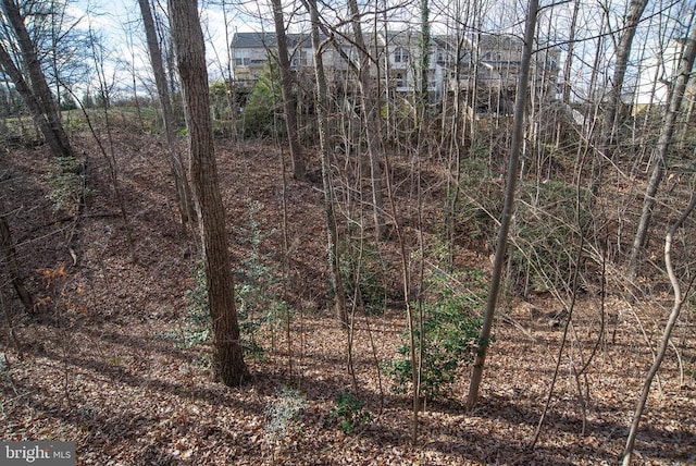 view of local wilderness