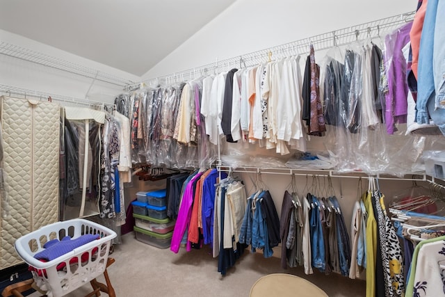 5 Trace Dr, Staunton, VA 24401 - spacious closet with vaulted ceiling and carpet floors