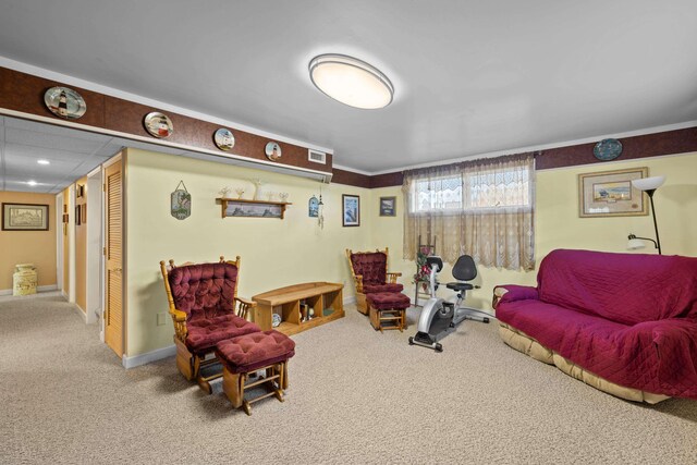 1751 New Hope And Crimora Rd, Crimora, VA 24431 - living area with baseboards and carpet floors