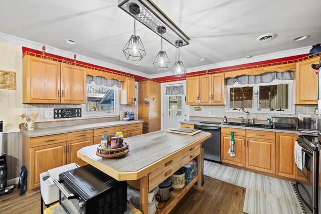1751 New Hope And Crimora Rd, Crimora, VA 24431 - kitchen featuring a sink, visible vents, dishwasher, backsplash, and electric stove