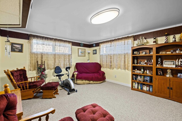 1751 New Hope And Crimora Rd, Crimora, VA 24431 - living area featuring carpet and baseboards