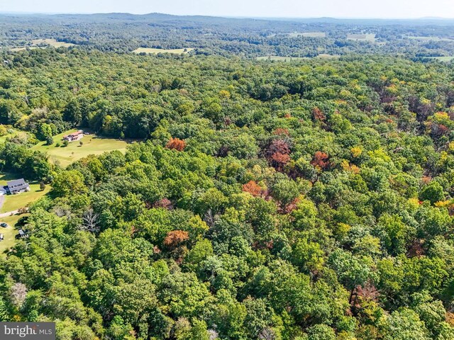 Obannons Mill Rd, Boston, VA 22713 - photo 24