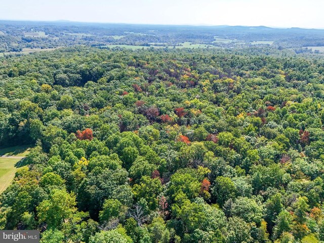 Obannons Mill Rd, Boston, VA 22713 - photo 27