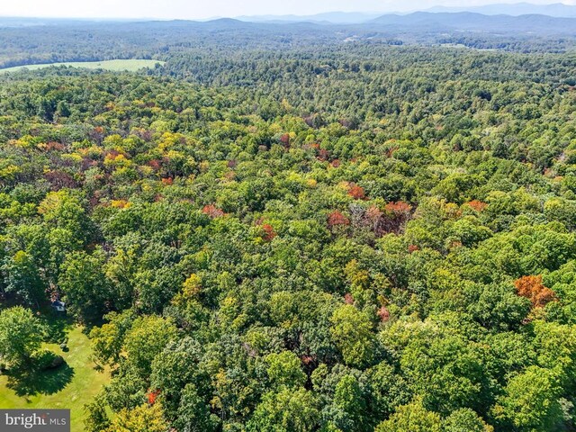 Obannons Mill Rd, Boston, VA 22713 - photo 17
