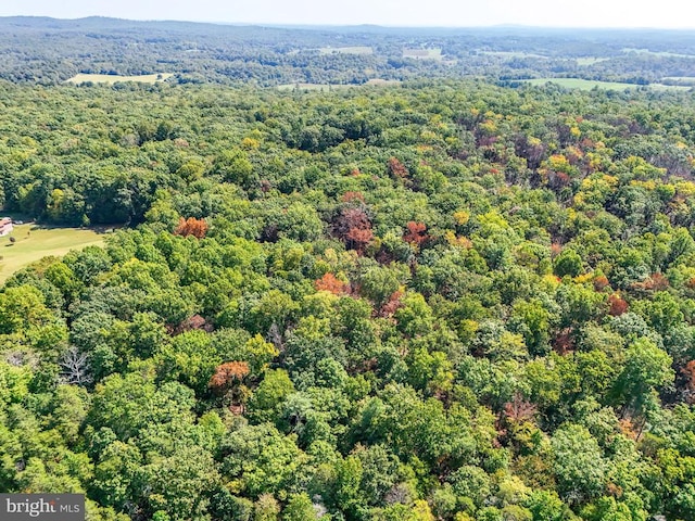 Obannons Mill Rd, Boston, VA 22713 - photo 25