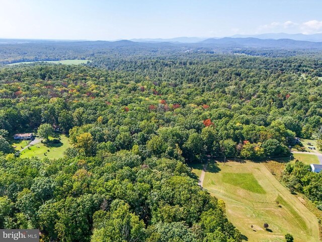 Obannons Mill Rd, Boston, VA 22713 - photo 16