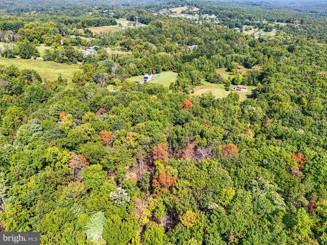 Obannons Mill Rd, Boston, VA 22713 - photo 22