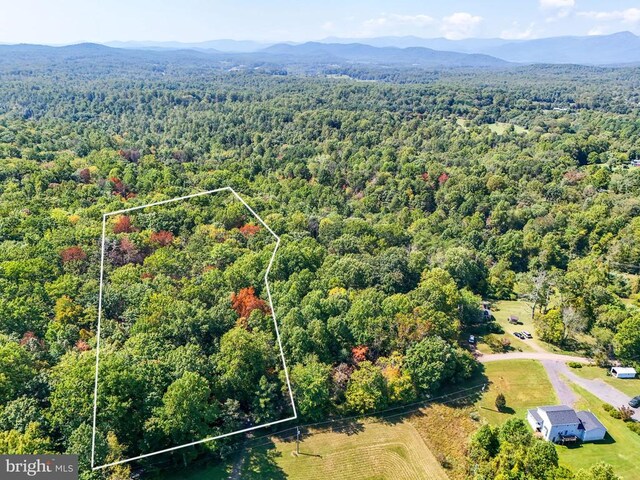Obannons Mill Rd, Boston, VA 22713 - photo 8