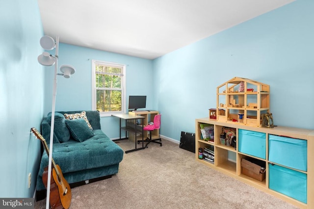 11428 Orange Plank Rd, Locust Grove, VA 22508 - view of carpeted office space