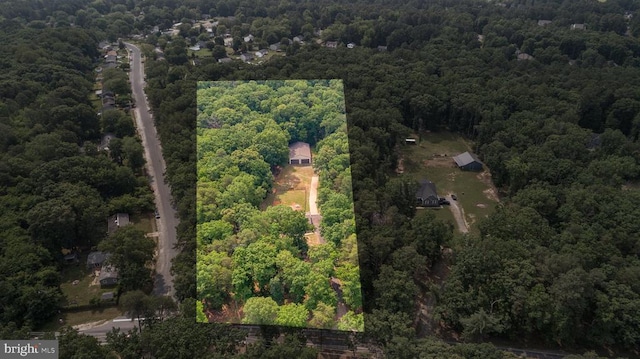 11428 Orange Plank Rd, Locust Grove, VA 22508 - aerial view of property's location with a heavily wooded area and property parcel outlined